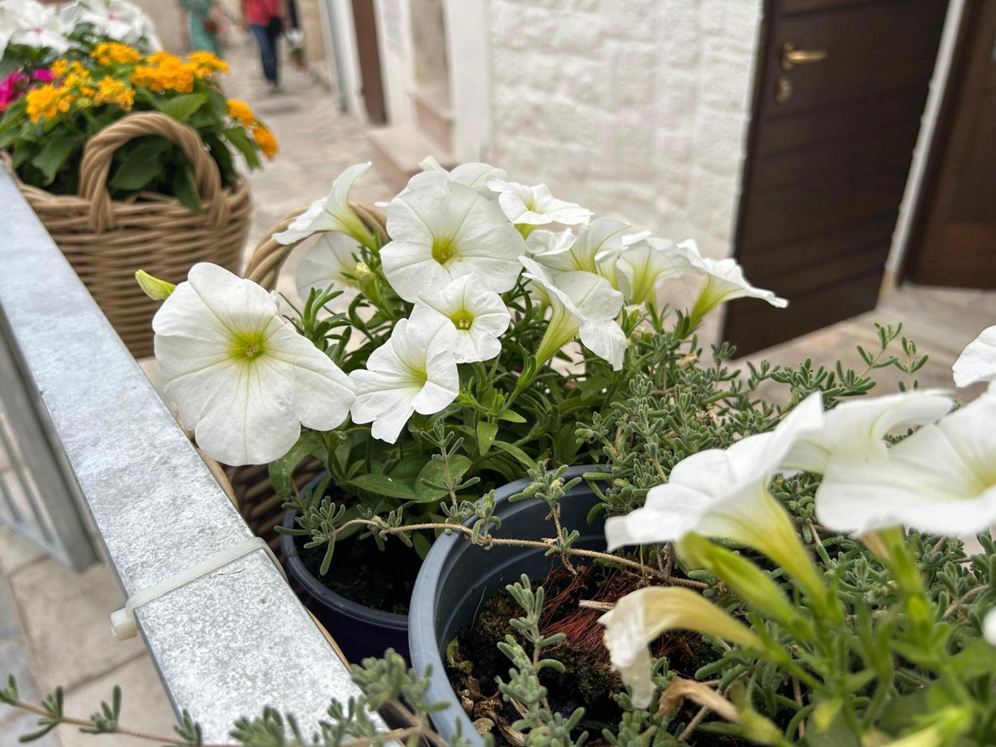 Bed and Breakfast Trame Poesia Di Mare 2 Polignano a Mare Zewnętrze zdjęcie